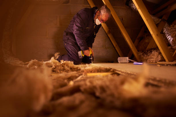 Best Insulation Replacement Services  in Corbin, KY